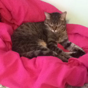 Meet your Posher, Andrea